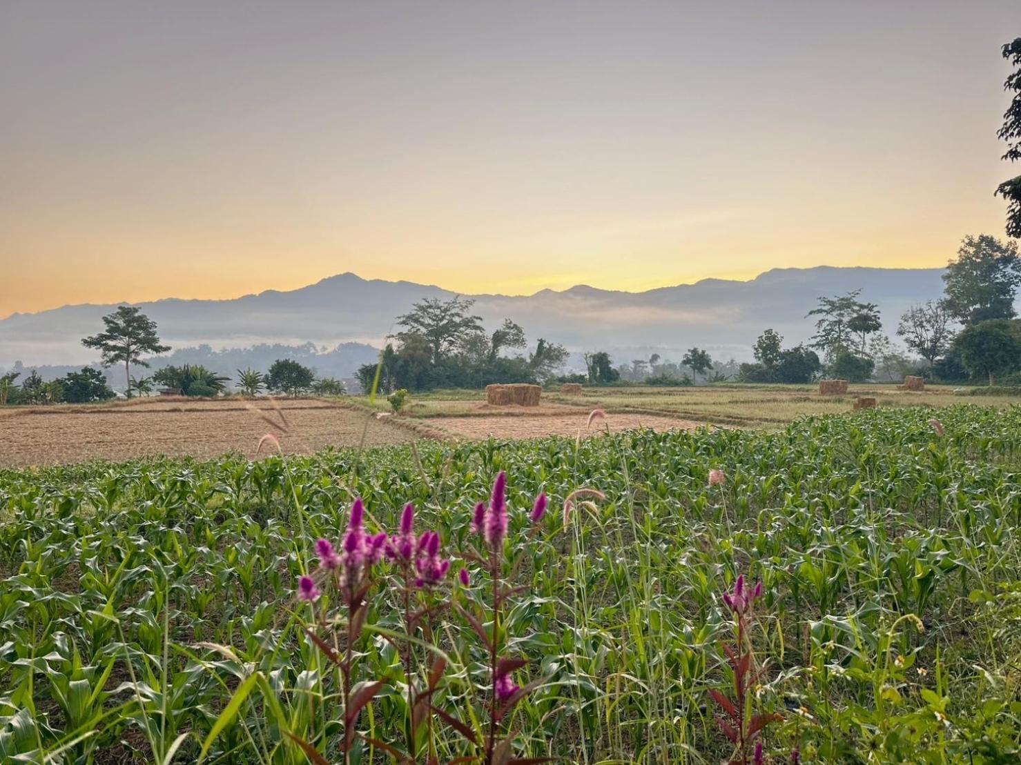 Nadoiview Homestay นาดอยวิวโฮมสเตย์ Pua Bagian luar foto